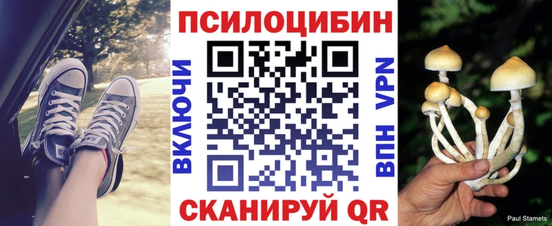 где продают   Советская Гавань  Галлюциногенные грибы Psilocybine cubensis 